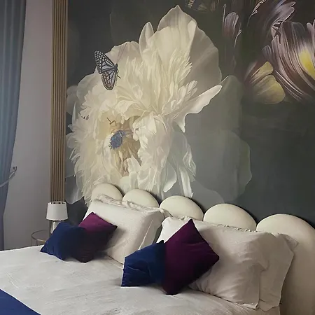 Bloom Comfort